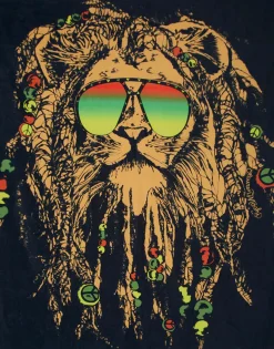 Cheap Brinkley Color Rasta Lion Square Blanket Towel For Two Lifestyle